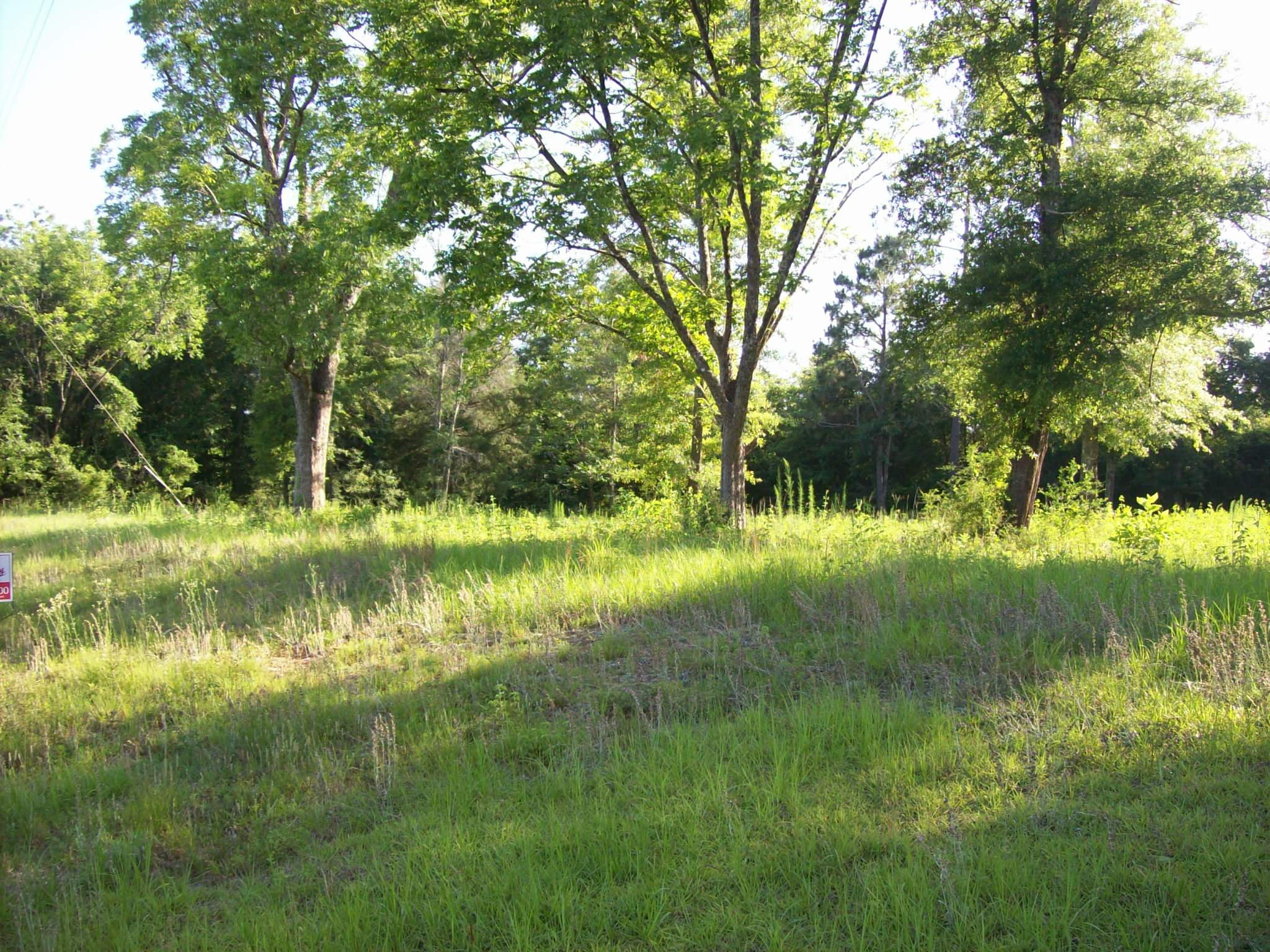 Xx Steele Road Baker, FL 32531 - Photo 4 of 9 a view of lake with green space