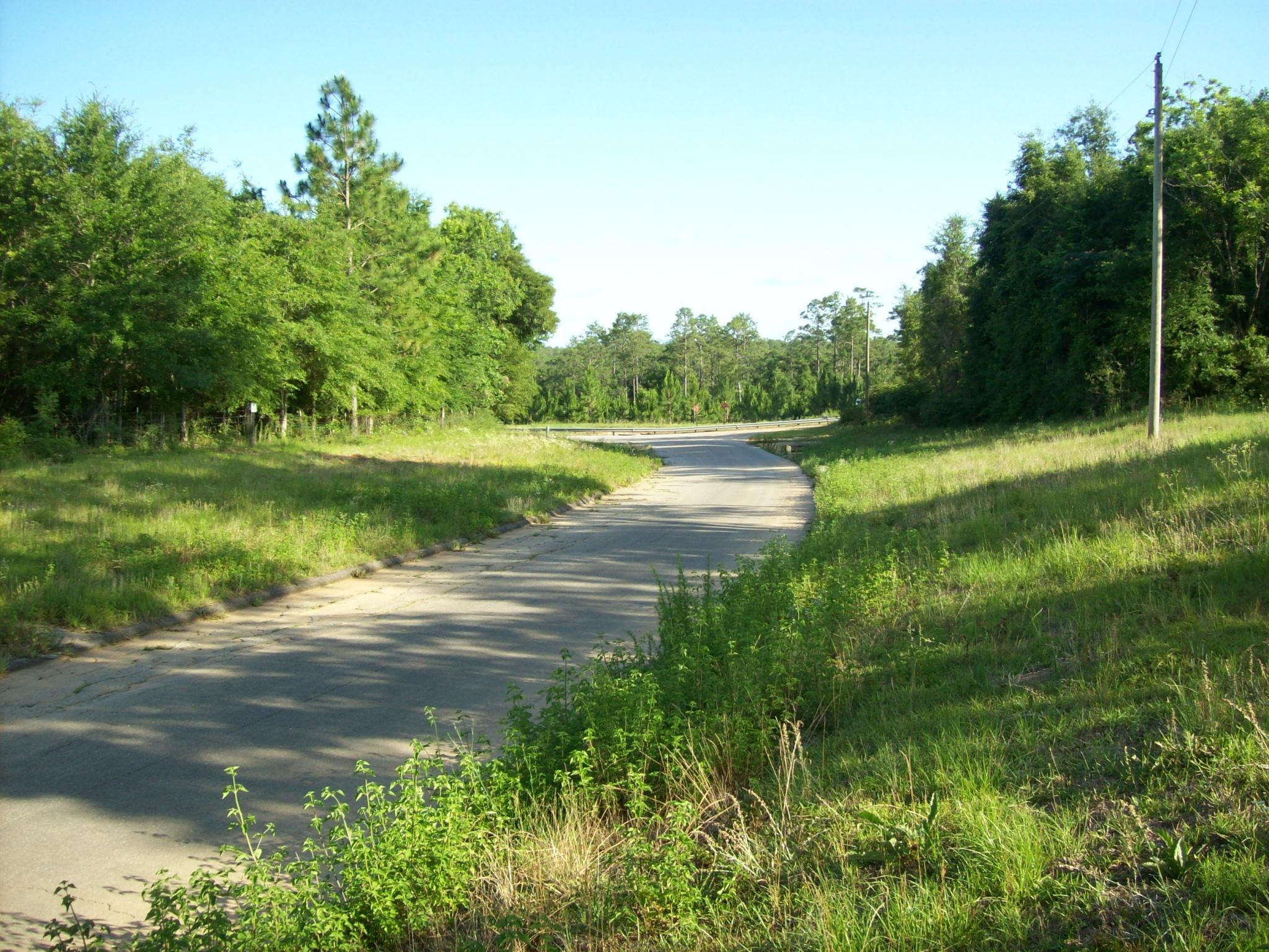 Xx Steele Road Baker, FL 32531 - Photo 9 of 9 a view of an outdoor space and yard
