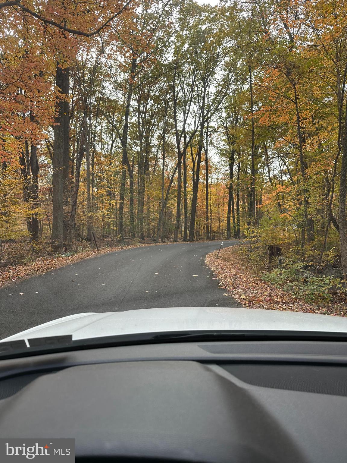 Reed Ln. road. Lot on right side at dead end.