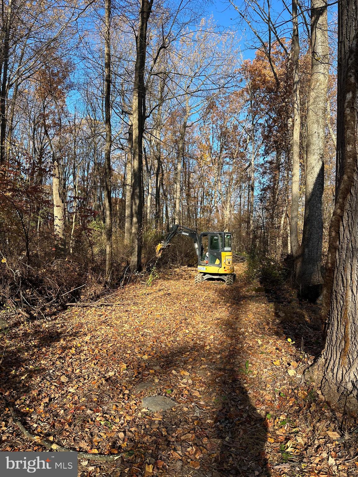 0 Reed Lane Kintnersville, PA 18930 - Photo 2 of 7 Driveway/path on lot