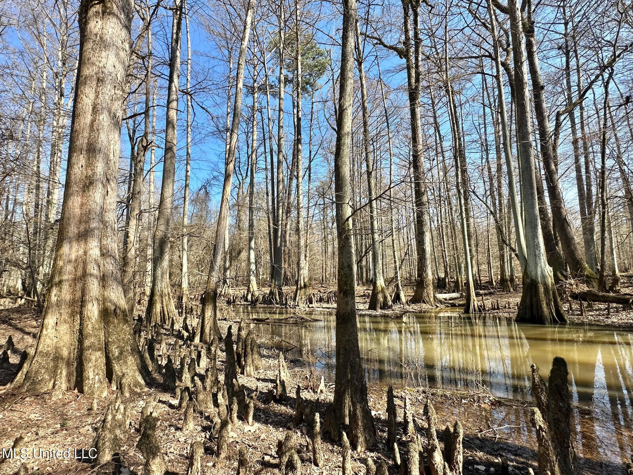 1 Evans Road Carthage, MS 39051 - Photo 47 of 149 67