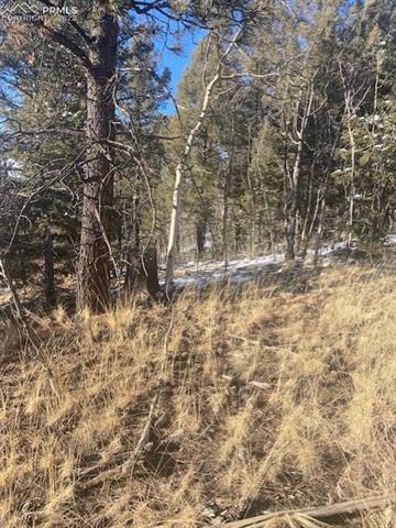 585 Princess Road Cripple Creek, CO 80813 - Photo 6 of 9 Gallery Image 6