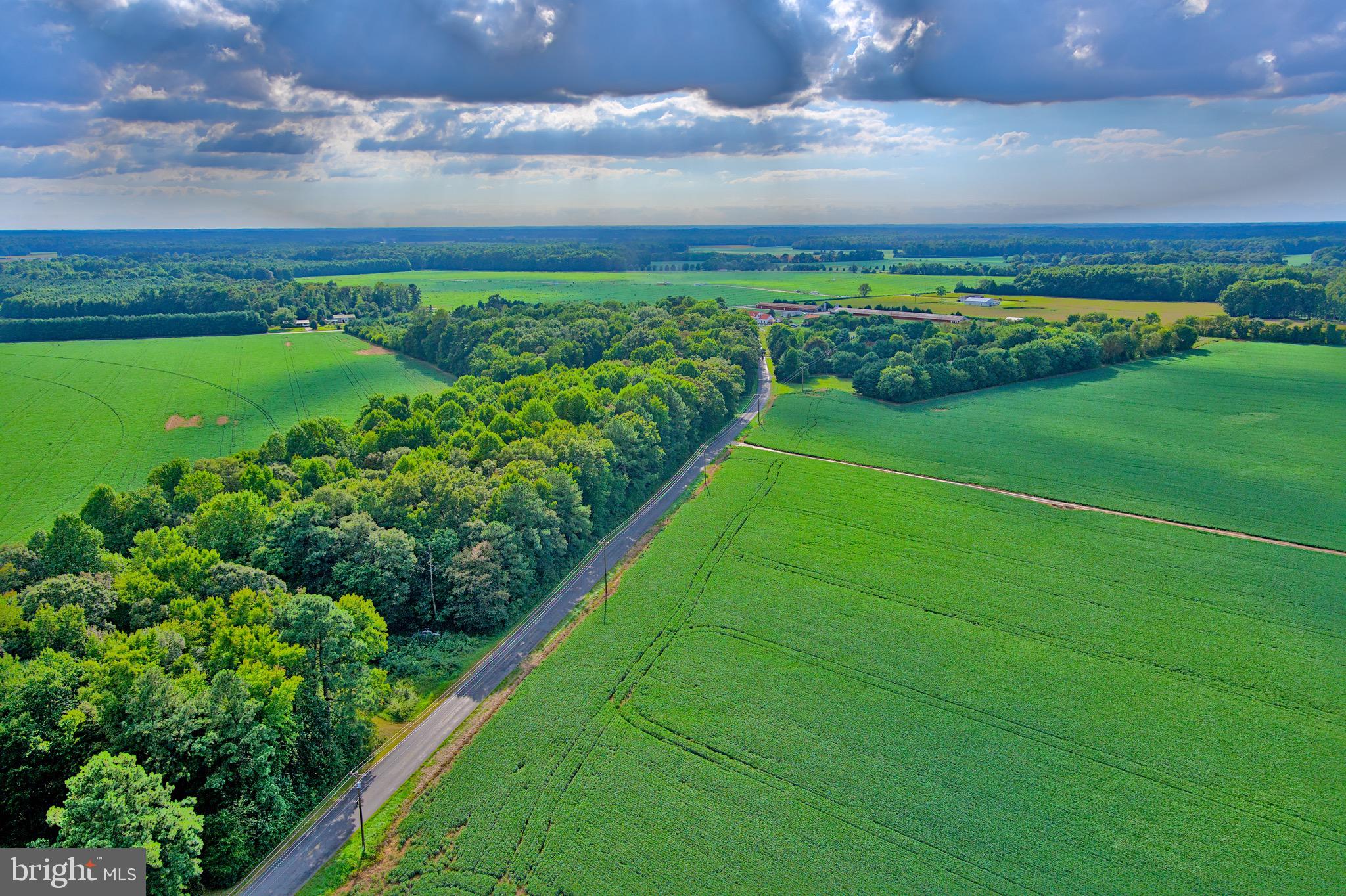 Iron Gate Road Federalsburg, MD 21632 - Photo 11 of 46 a view of a golf course with a lake