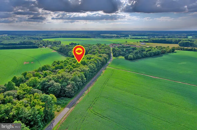 a view of a pathway both side of grassy field with shrub