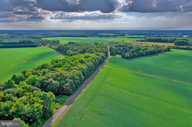 a view of a golf club with a yard