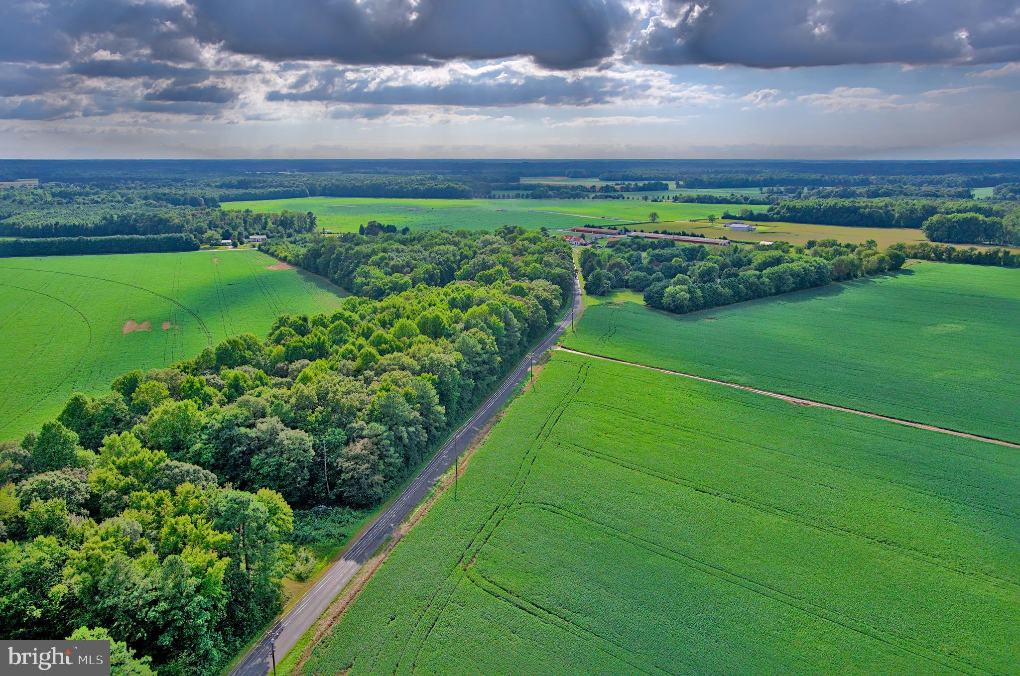 Iron Gate Road Federalsburg, MD 21632 - Photo 13 of 46 a view of a pathway both side of grassy field with shrub