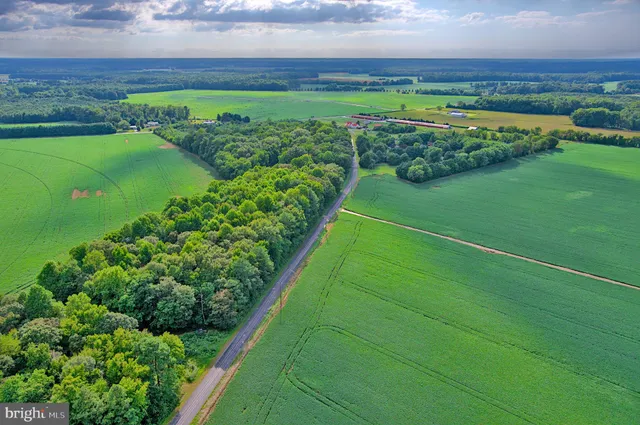 a view of a back yard