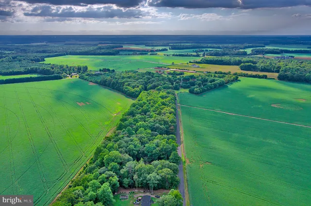 a view of a golf course with a yard