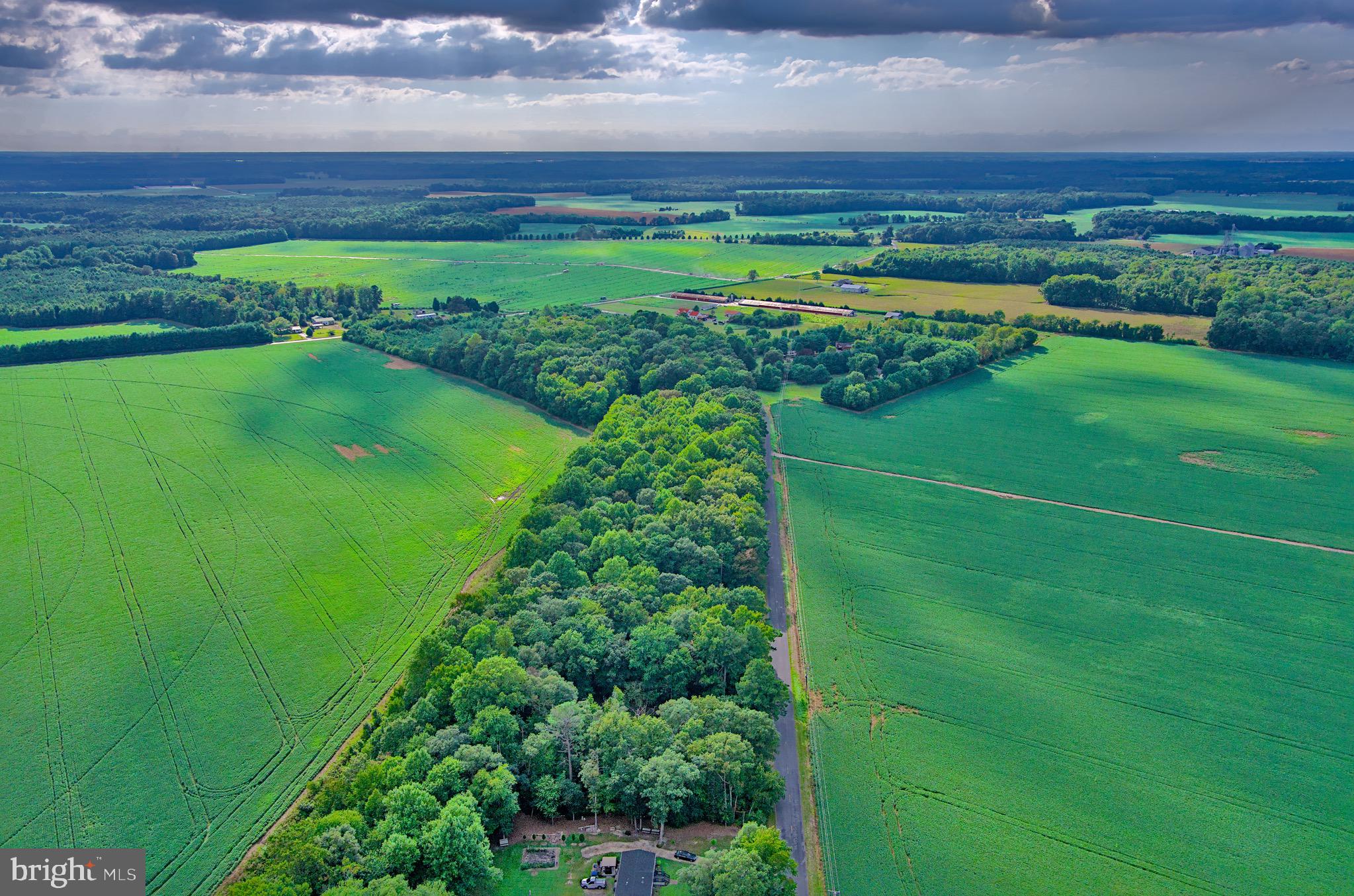 Iron Gate Road Federalsburg, MD 21632 - Photo 15 of 46 a view of a back yard