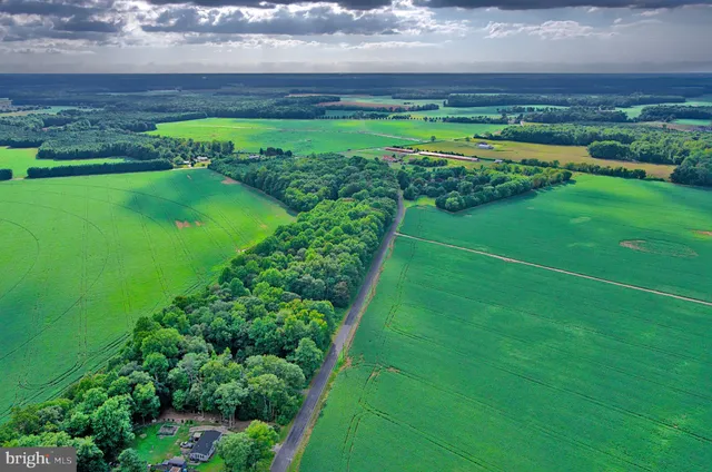 a view of a lush green field