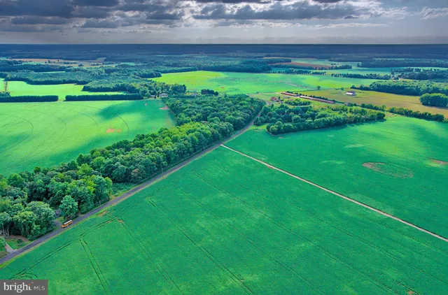 a view of a golf course with a lake