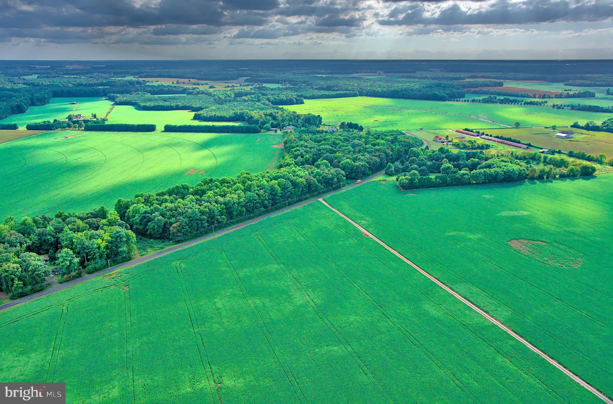 Iron Gate Road Federalsburg, MD 21632 - Photo 19 of 46 a view of a golf course with a lake