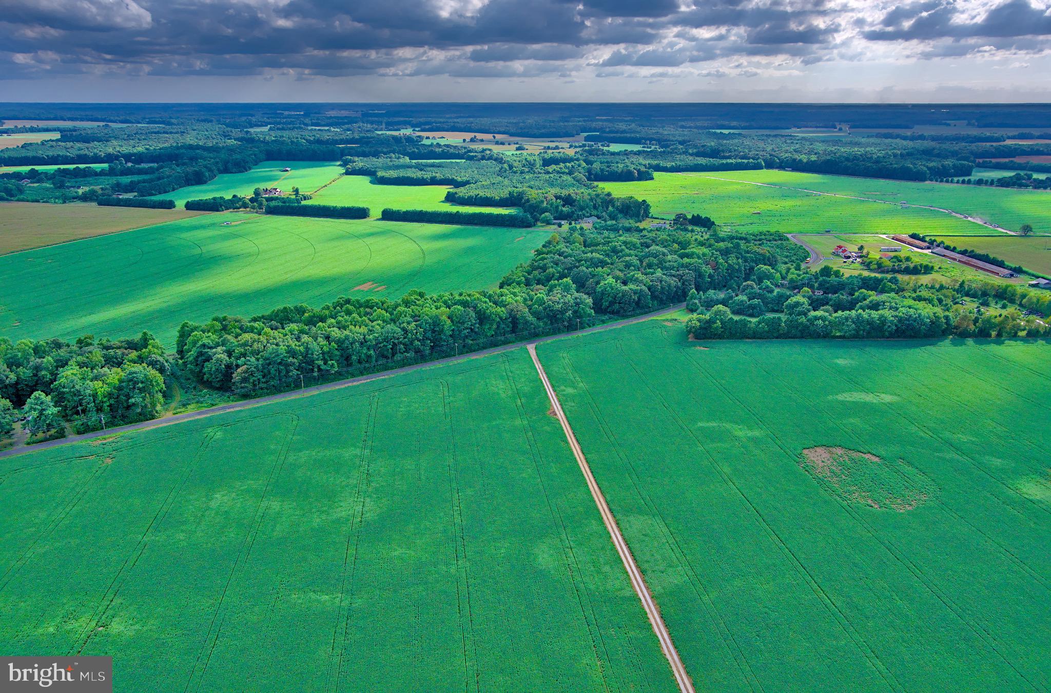 Iron Gate Road Federalsburg, MD 21632 - Photo 20 of 46 a view of an outdoor space and a yard