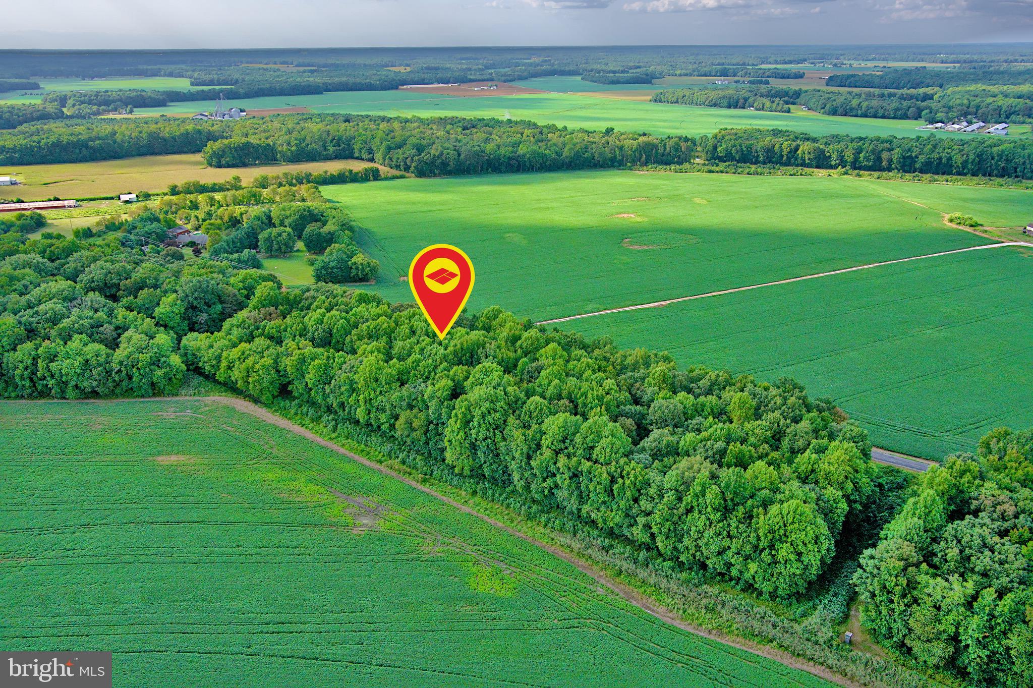 Iron Gate Road Federalsburg, MD 21632 - Photo 2 of 46 a view of a golf course with a garden