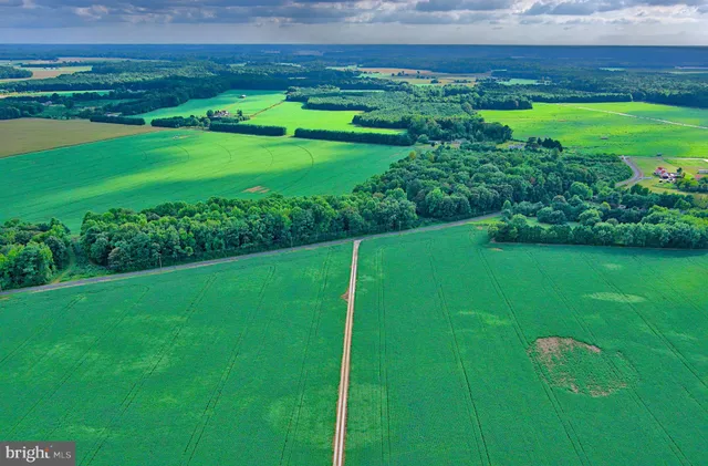 a green field with lots of green space in the background