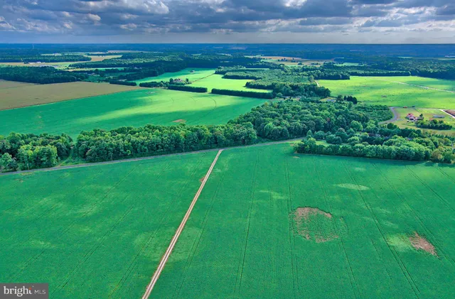 a view of an outdoor space yard patio and swimming pool