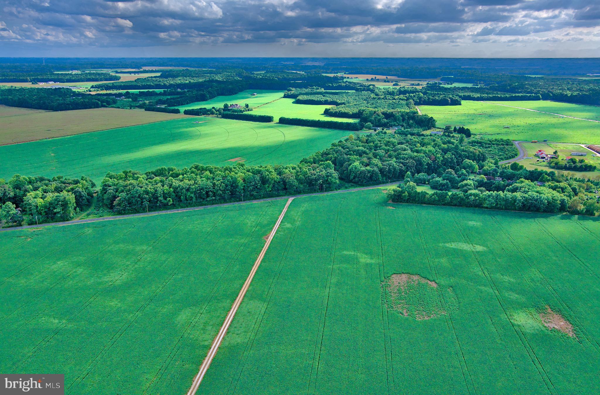Iron Gate Road Federalsburg, MD 21632 - Photo 22 of 46 a green field with lots of green space in the background