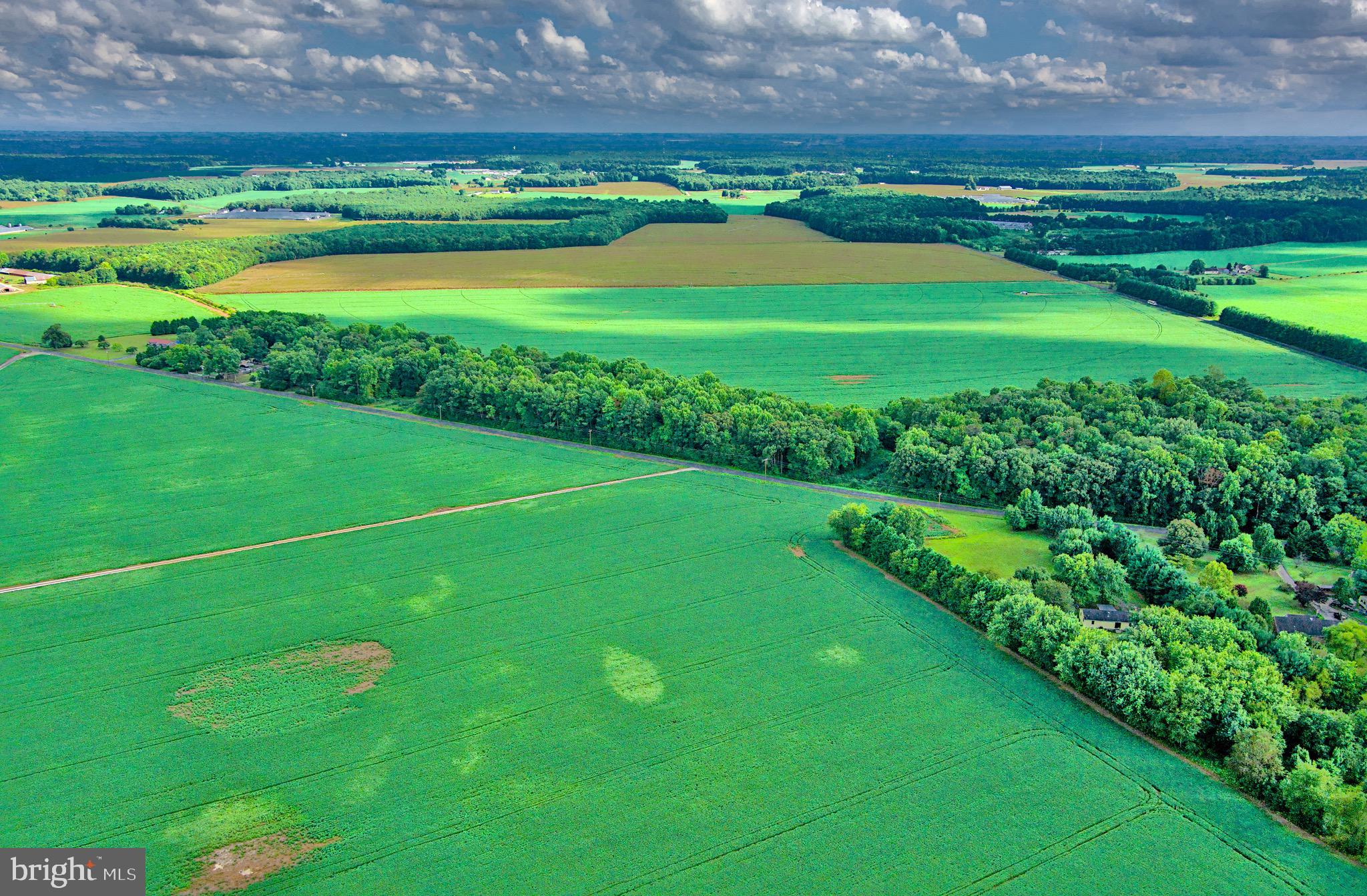 Iron Gate Road Federalsburg, MD 21632 - Photo 25 of 46 a view of a field with an outdoor space