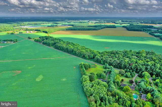 a view of a golf course with a lake