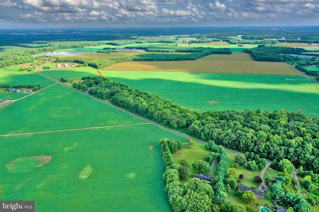 a green field with lots of green space