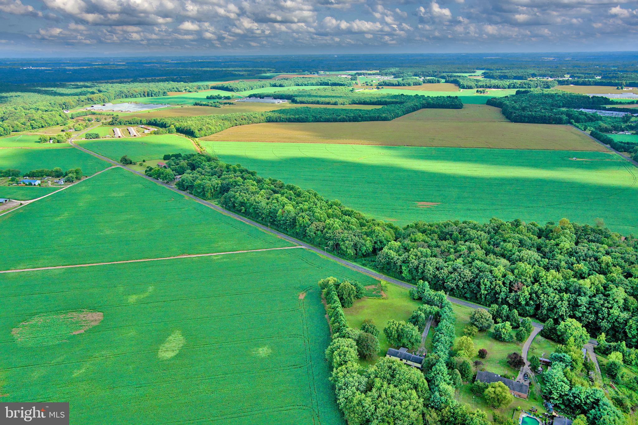 Iron Gate Road Federalsburg, MD 21632 - Photo 27 of 46 a view of a golf course with a lake