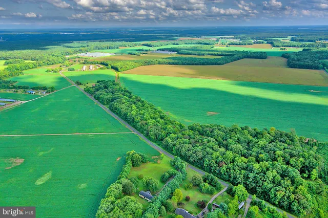 a green field with lots of green space