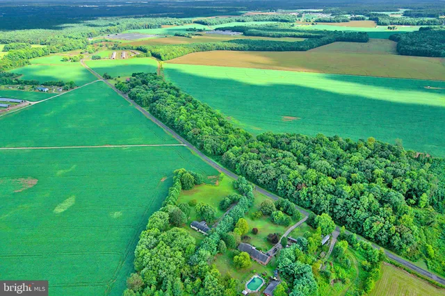 a green field with lots of green space