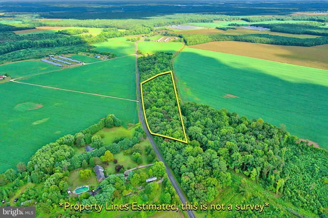 a green field with lots of green space