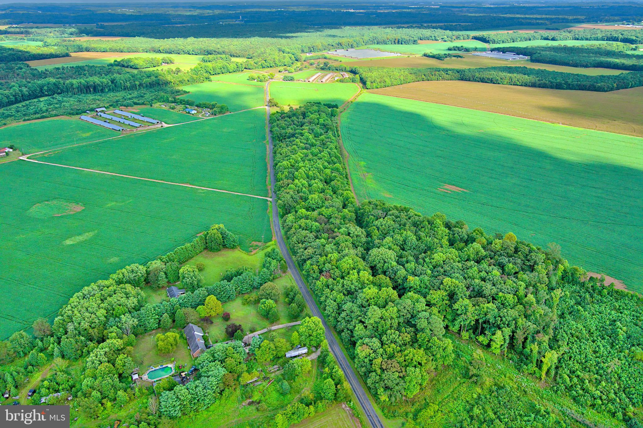Iron Gate Road Federalsburg, MD 21632 - Photo 33 of 46 a green field with lots of green space