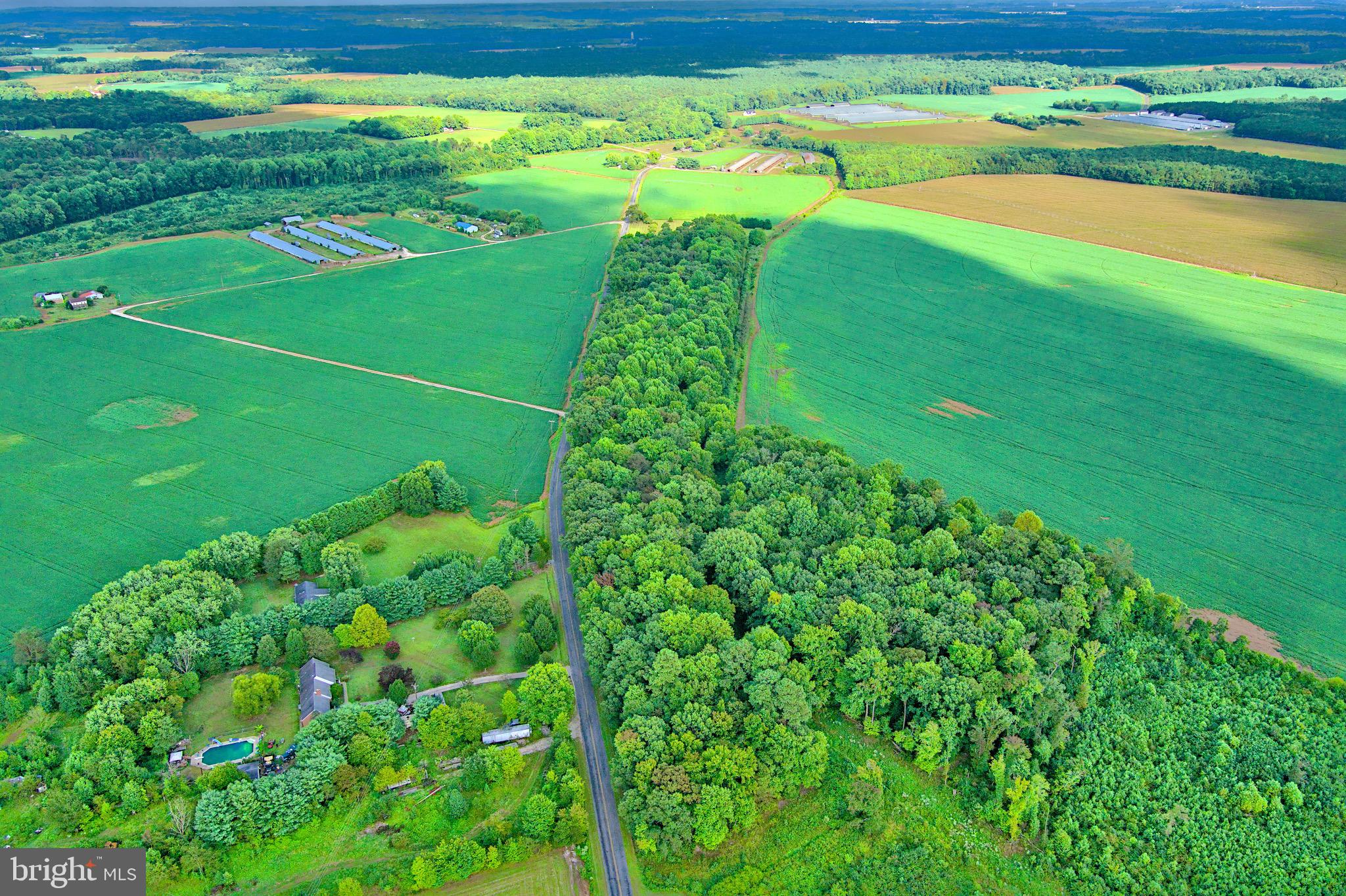 Iron Gate Road Federalsburg, MD 21632 - Photo 34 of 46 a green field with lots of green plants in it