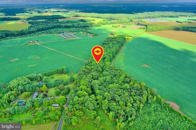 a green field with lots of green space