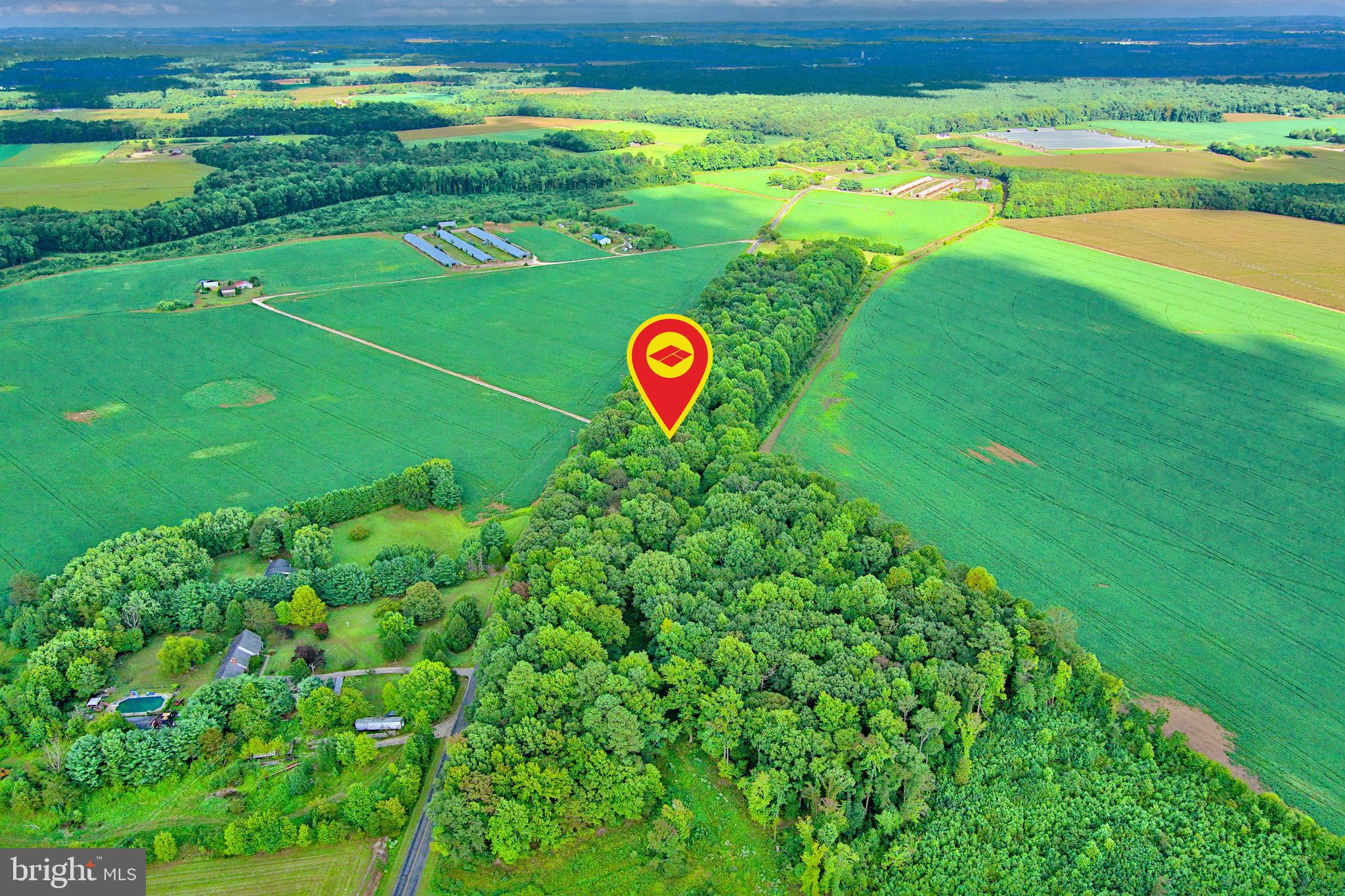Iron Gate Road Federalsburg, MD 21632 - Photo 35 of 46 a view of a big yard with swimming pool