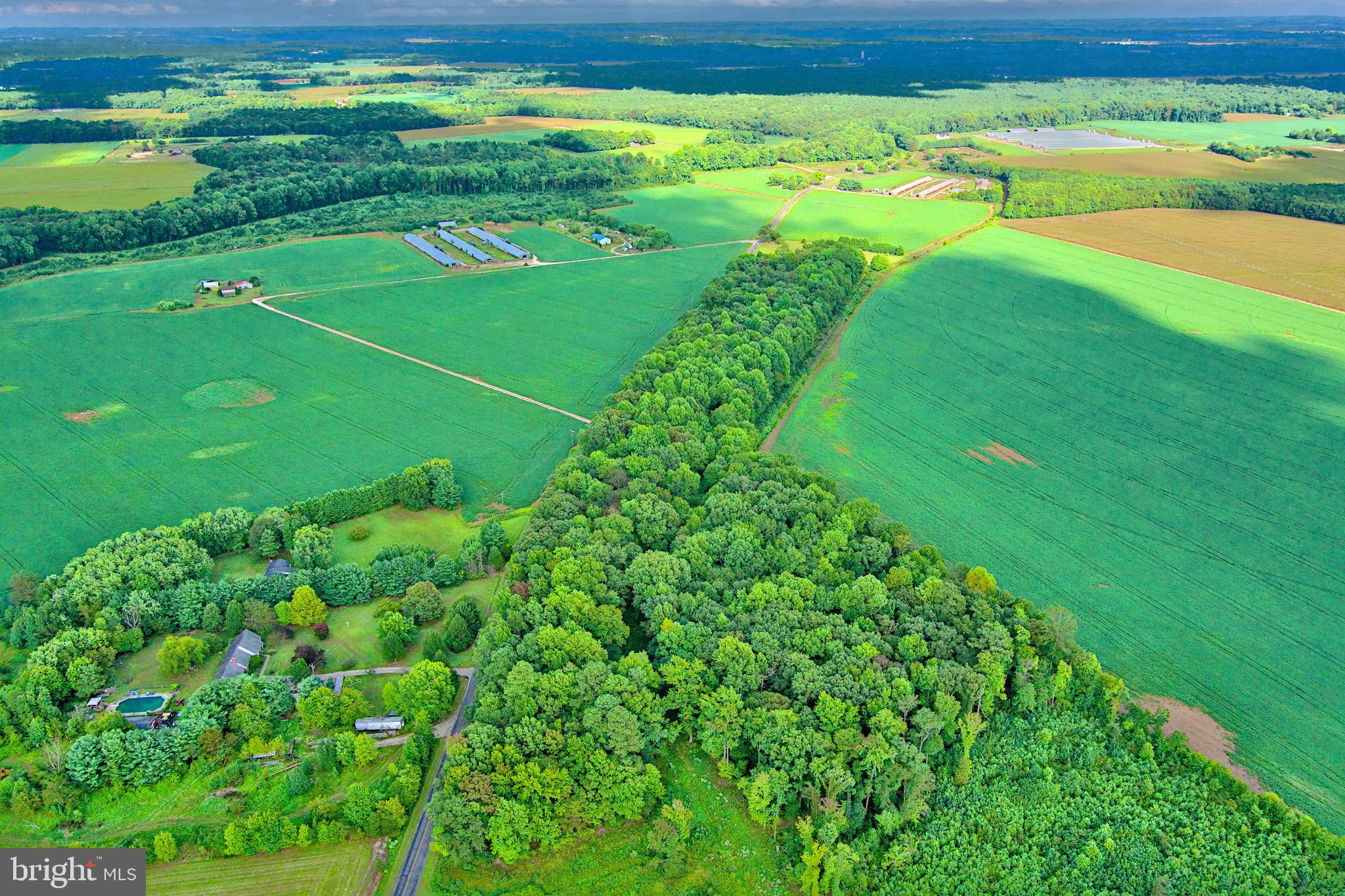 Iron Gate Road Federalsburg, MD 21632 - Photo 36 of 46 a green field with lots of green space