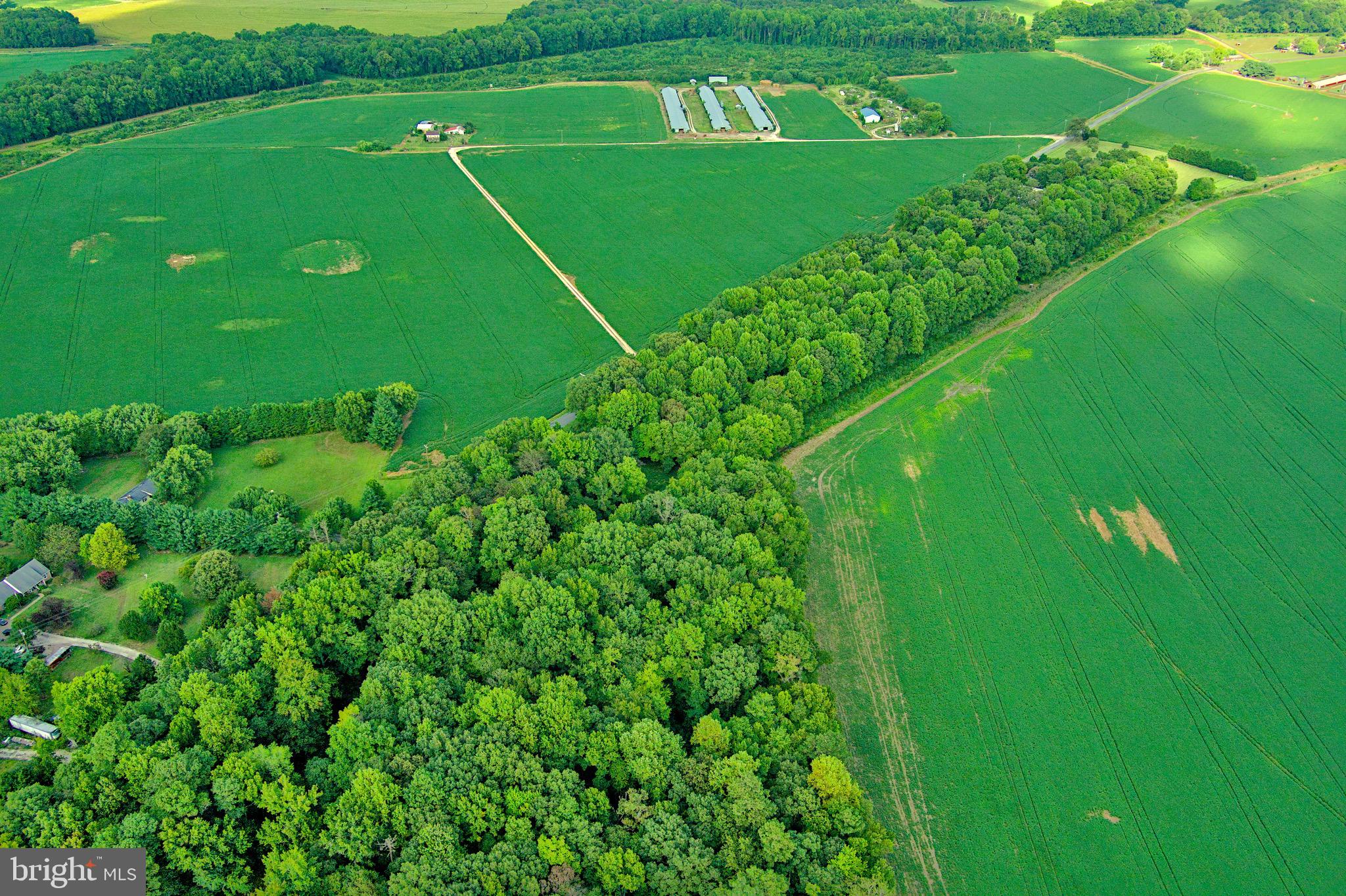 Iron Gate Road Federalsburg, MD 21632 - Photo 37 of 46 a green field with lots of green space