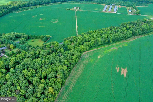 a view of a golf course with a garden