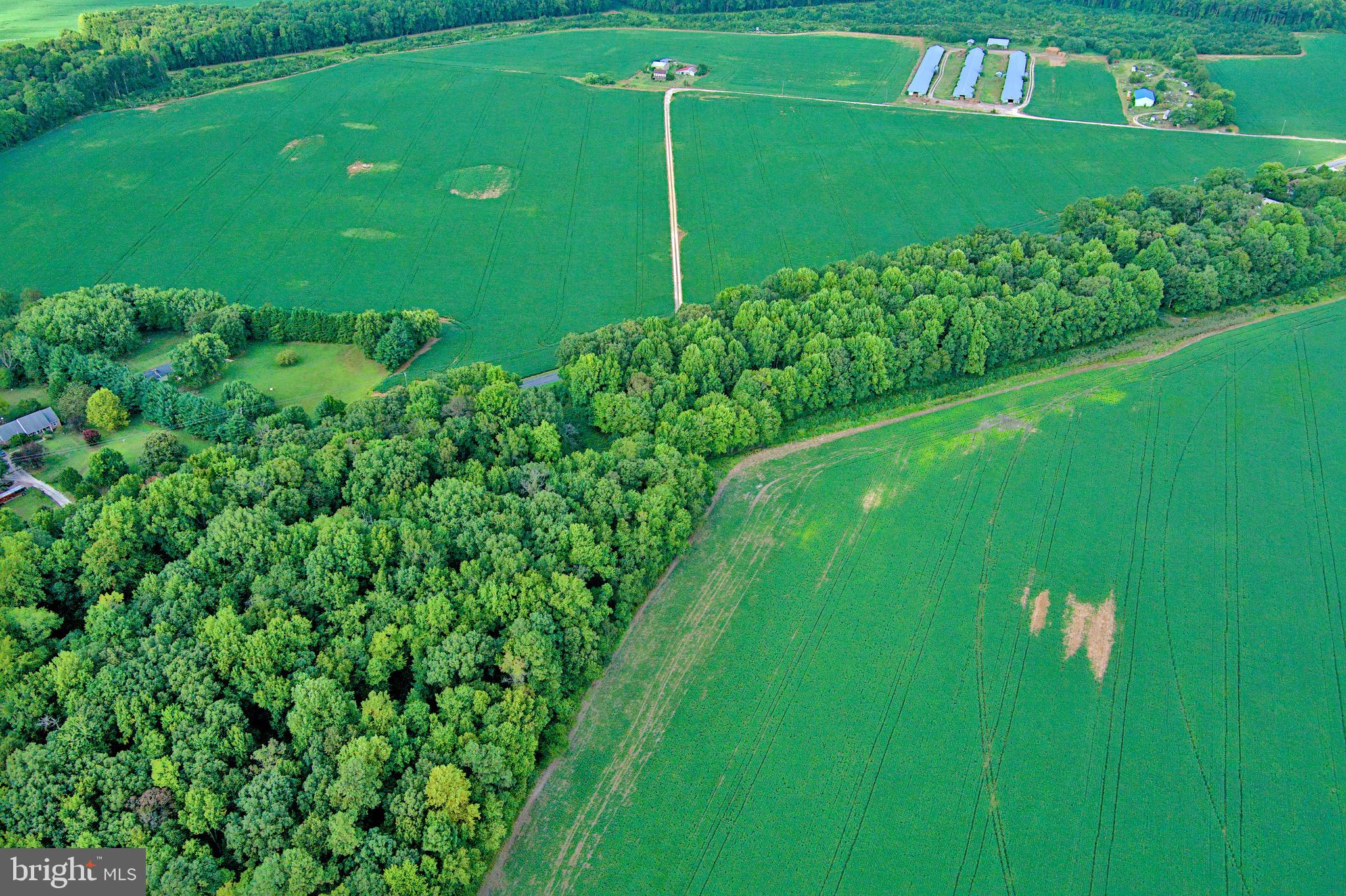 Iron Gate Road Federalsburg, MD 21632 - Photo 38 of 46 a backyard of a house with lots of green space