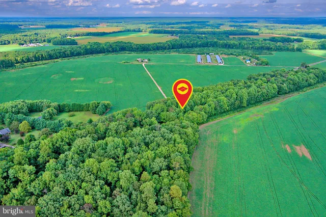 a view of a golf course with a big yard