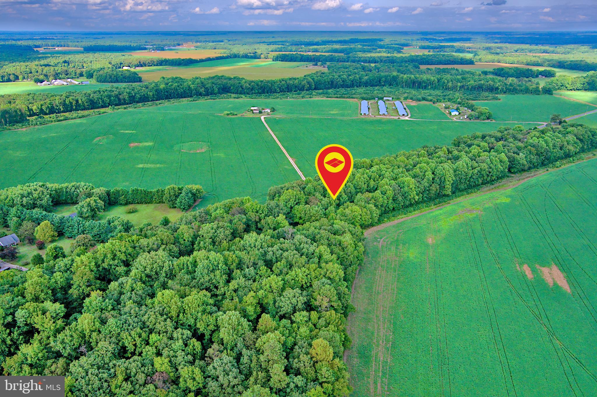 Iron Gate Road Federalsburg, MD 21632 - Photo 39 of 46 a view of a golf course with a garden