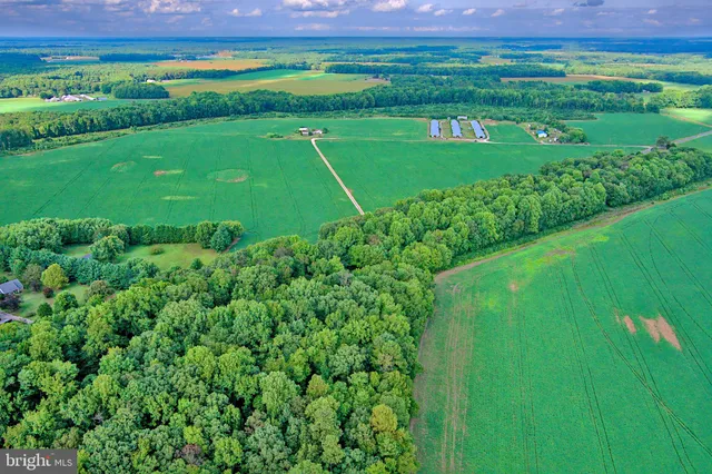 a view of a field with a big yard