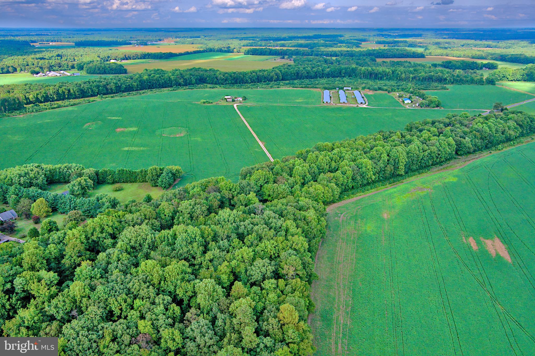 Iron Gate Road Federalsburg, MD 21632 - Photo 40 of 46 a view of a golf course with a big yard