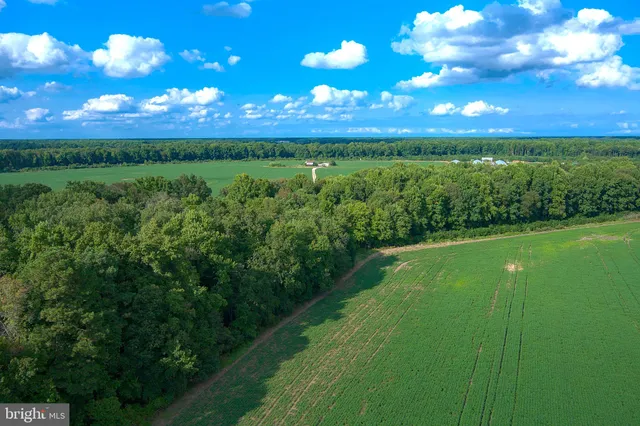 a view of a big yard