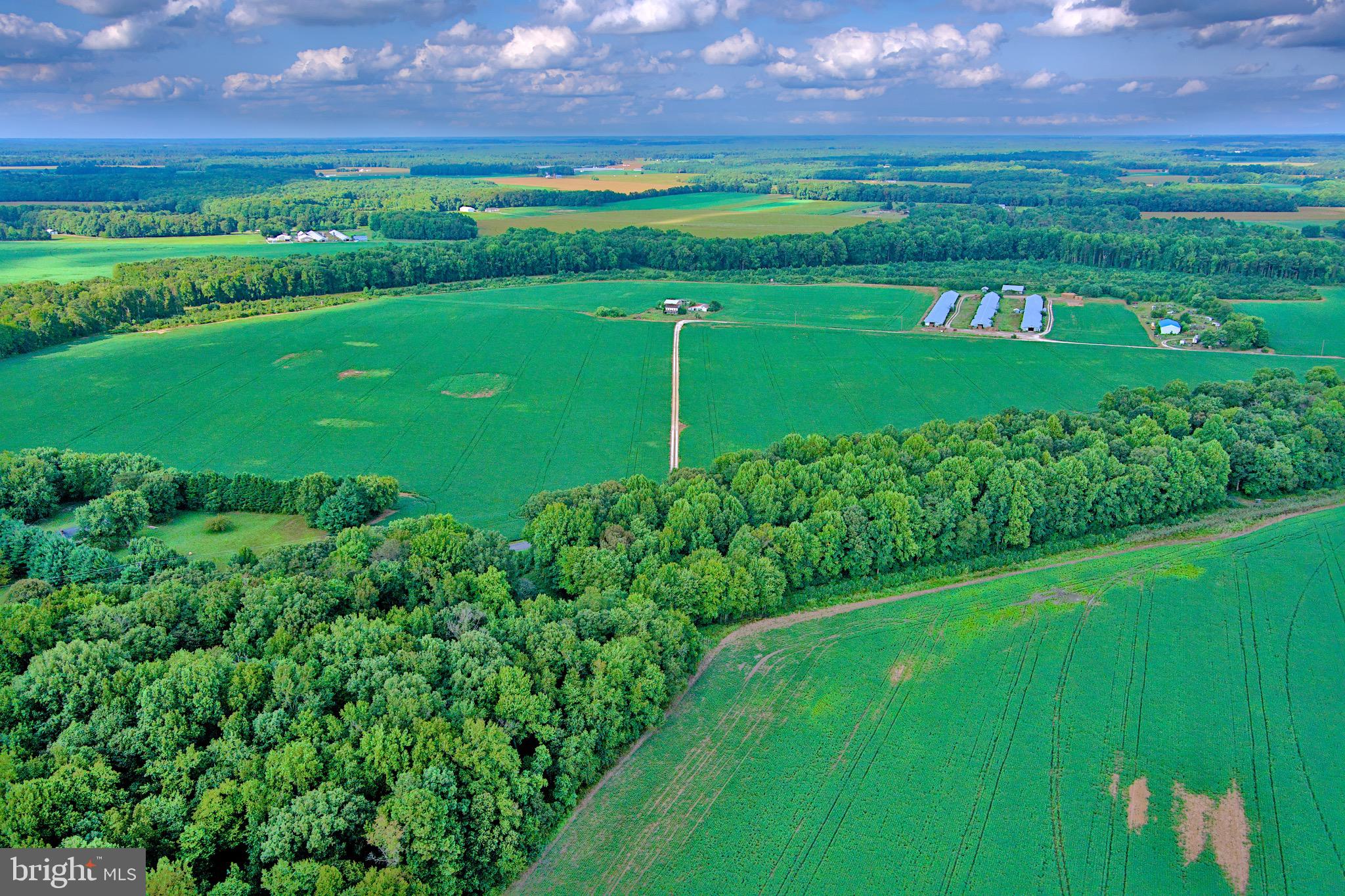 Iron Gate Road Federalsburg, MD 21632 - Photo 41 of 46