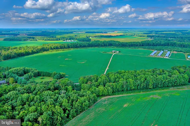 a view of a field with a big yard
