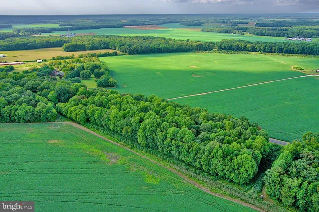 a view of a garden with an outdoor space