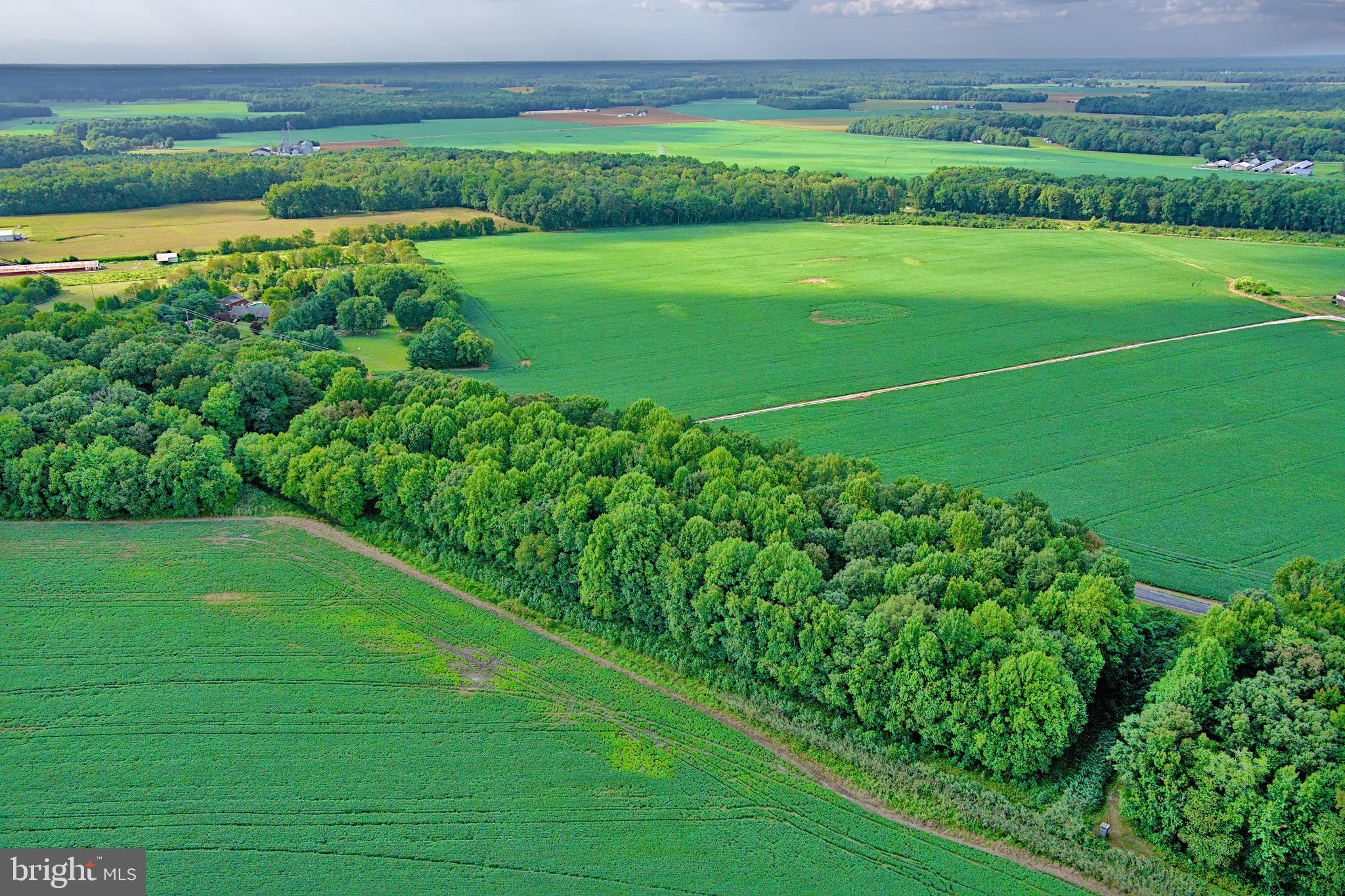 Iron Gate Road Federalsburg, MD 21632 - Photo 44 of 46 a view of a field with a big yard