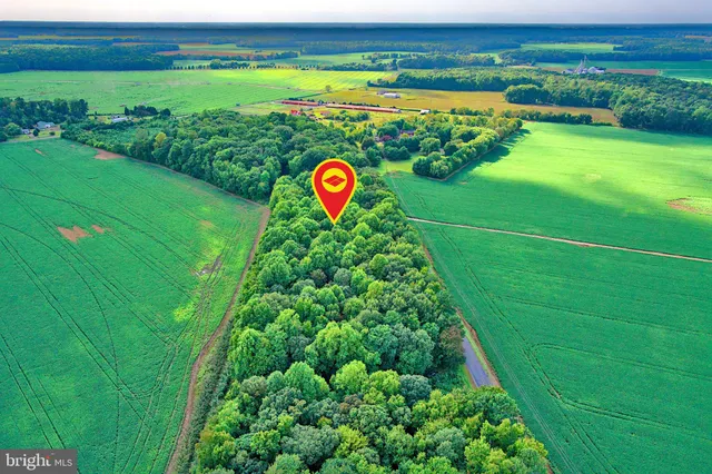 $75,000 | Iron Gate Road, Federalsburg, MD 21632