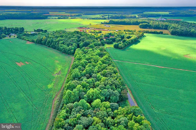 $75,000 | Iron Gate Road, Federalsburg, MD 21632