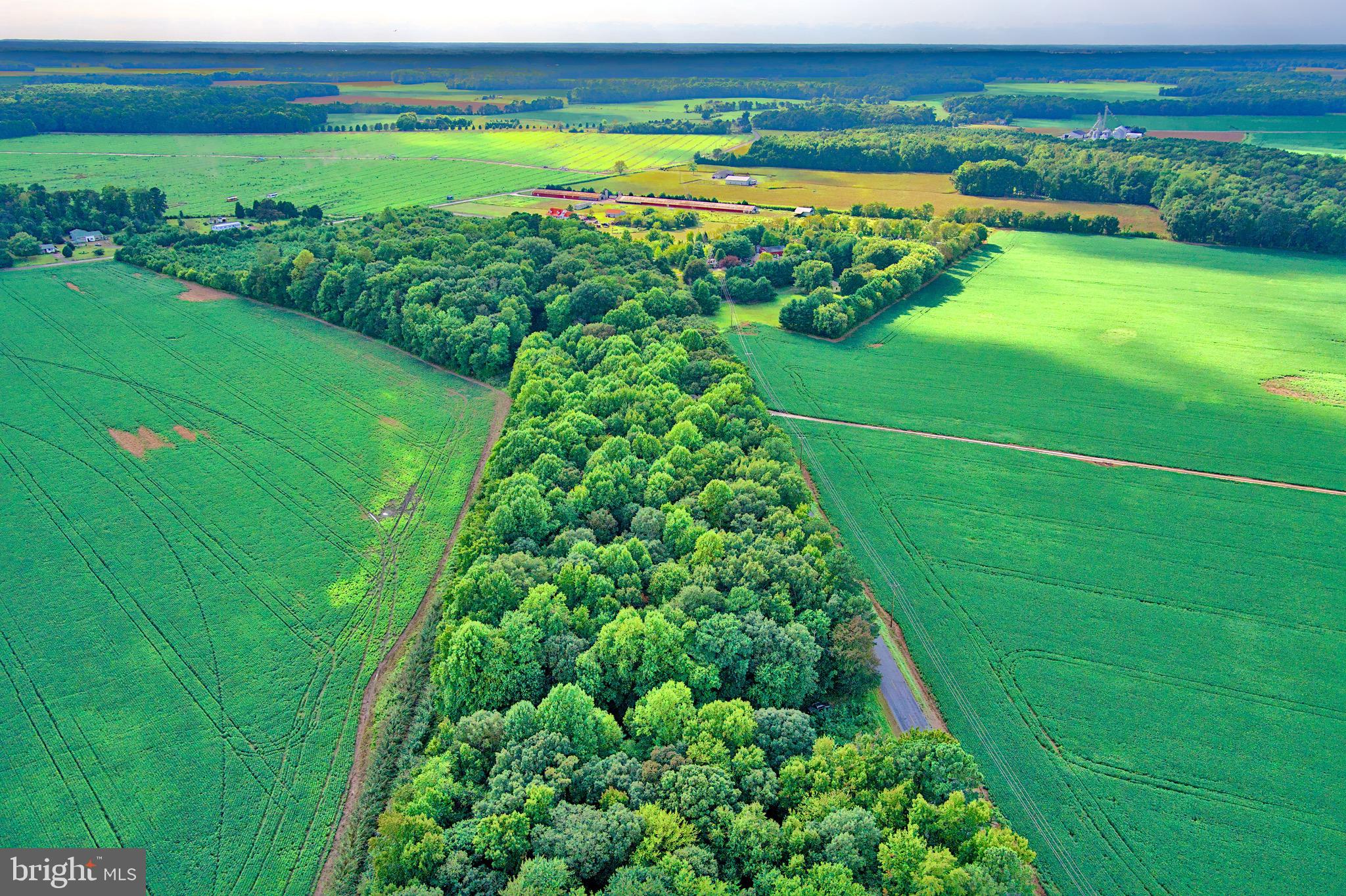 Iron Gate Road Federalsburg, MD 21632 - Photo 46 of 46 a view of a garden with an outdoor space