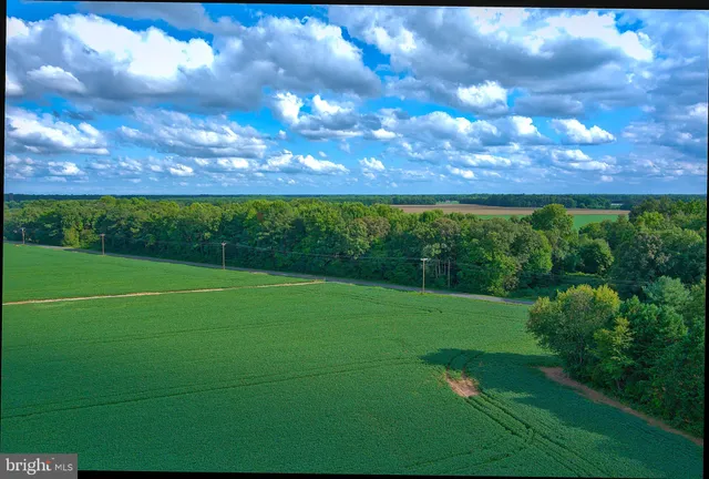 a view of a field with a big yard