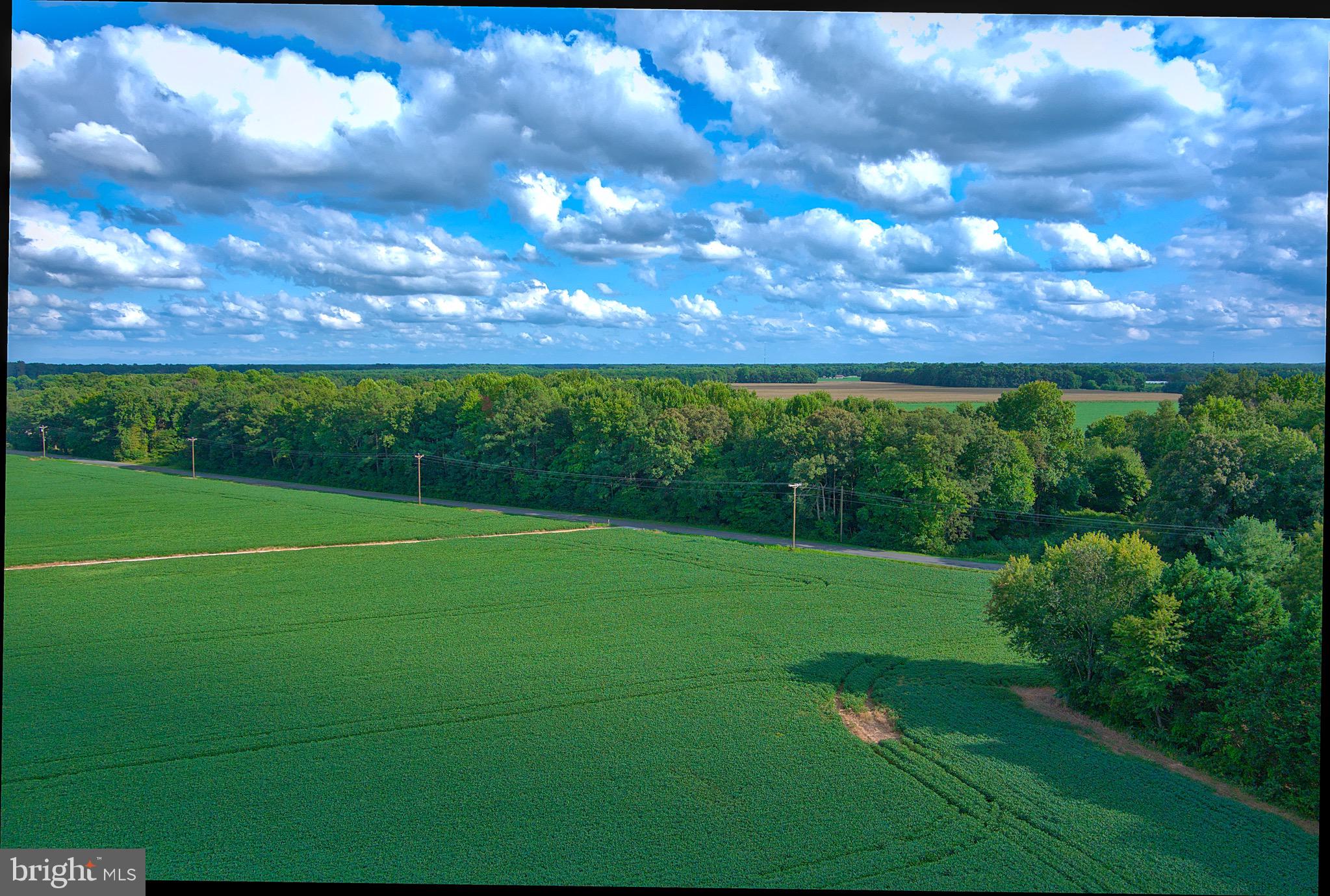 Iron Gate Road Federalsburg, MD 21632 - Photo 5 of 46 a view of a big yard